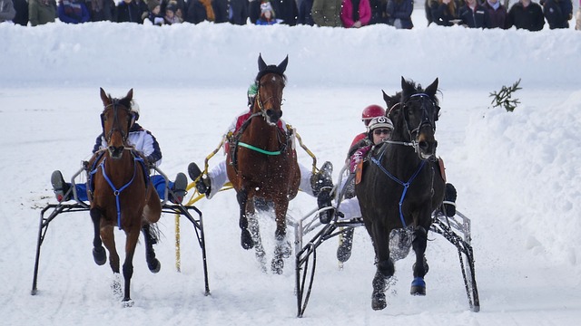 自己的天赋 自己的天赋