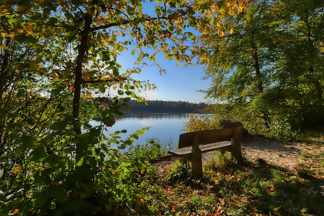 战的挑战下 战的挑战下