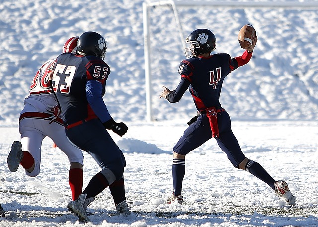 势在于其精 势在于其精