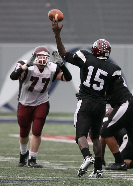 称无懈可击 称无懈可击