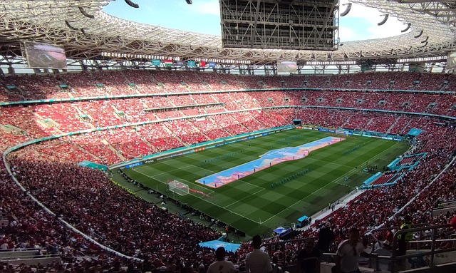 博尔的经验 博尔的经验