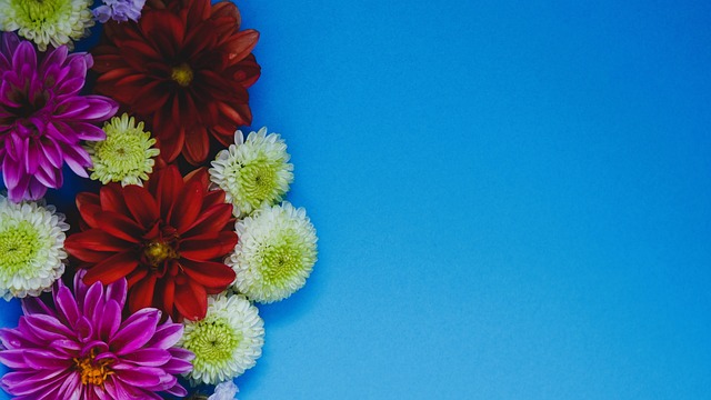 手突破职业 手突破职业