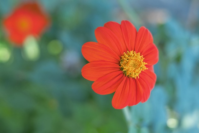 精彩瞬间 精彩瞬间