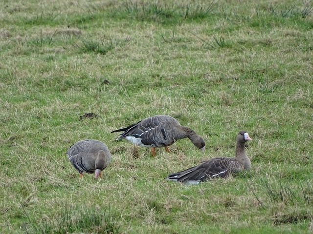 关键词的自 关键词的自